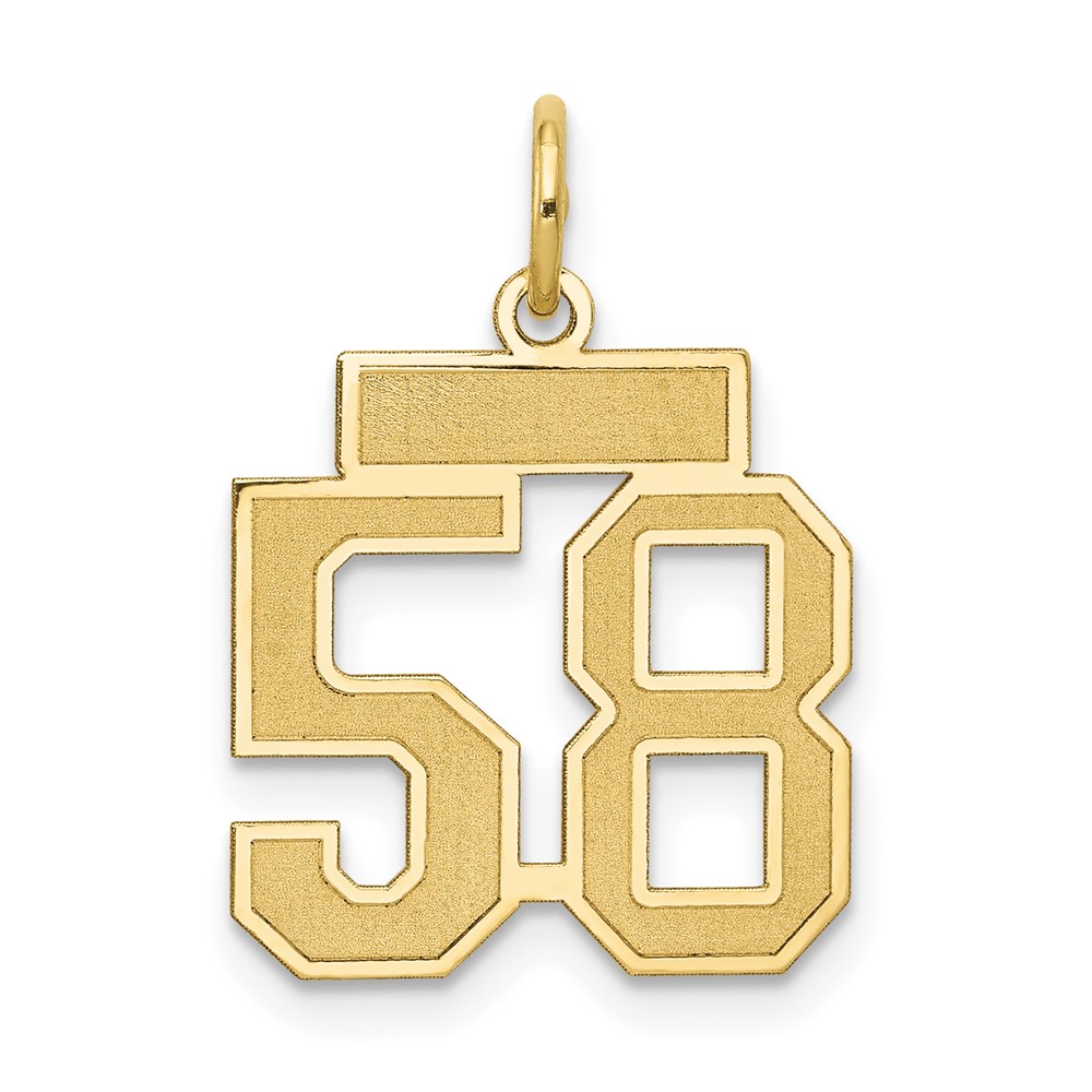 14K Yellow Gold Small Satin Number 58 Charm