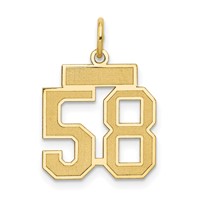 14K Yellow Gold Small Satin Number 58 Charm view 1