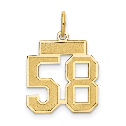 14K Yellow Gold Small Satin Number 58 Charm