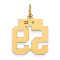 14K Yellow Gold Small Satin Number 59 Charm view 3