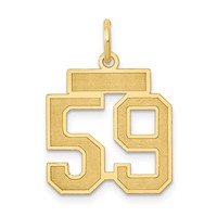 14K Yellow Gold Small Satin Number 59 Charm view 1