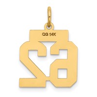 14K Yellow Gold Small Satin Number 62 Charm view 3