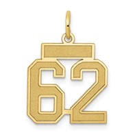 14K Yellow Gold Small Satin Number 62 Charm view 1
