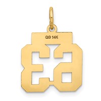 14K Yellow Gold Small Satin Number 63 Charm view 3