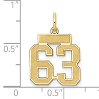 14K Yellow Gold Small Satin Number 63 Charm view 4