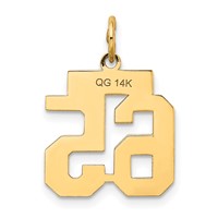 14K Yellow Gold Small Satin Number 65 Charm view 3