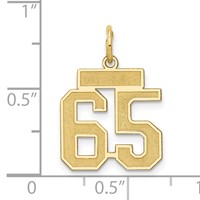 14K Yellow Gold Small Satin Number 65 Charm view 4