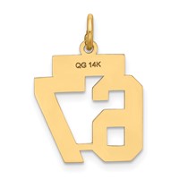 14K Small Satin Number 67 Charm view 3