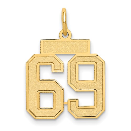 14K Yellow Gold Small Satin Number 69 Charm