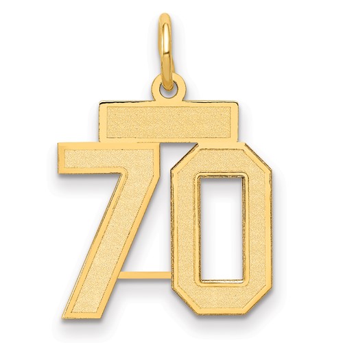 14K Yellow Gold Small Satin Number 70 Charm