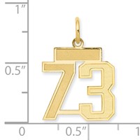 14K Yellow Gold Small Satin Number 73 Charm view 2