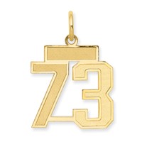 14K Yellow Gold Small Satin Number 73 Charm view 1