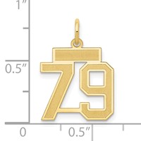 14K Yellow Gold Small Satin Number 79 Charm view 4