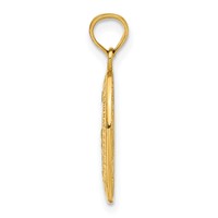 14K Yellow Gold Polished and Satin Solid Miraculous Medal Oval Pendant view 2