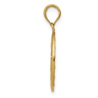 14K Yellow Gold Polished and Satin Solid Miraculous Medal Oval Pendant view 3