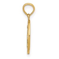 14K Yellow Gold Polished and Satin Solid Miraculous Medal Round Pendant view 2