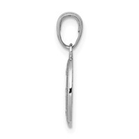 14K White Gold Polished and Satin Solid Miraculous Medal Oval Charm view 2