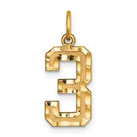 14K Medium Diamond-cut Number 3 Charm view 1