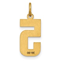 14K Medium Diamond-cut Number 5 Charm view 3