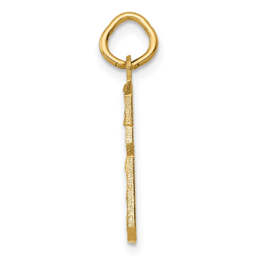 14k Medium Diamond-cut Number 6 Charm (MN06)