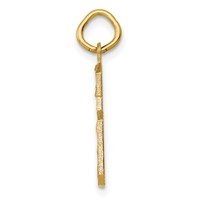 14K Yellow Gold Medium Diamond-cut Number 6 Charm view 2