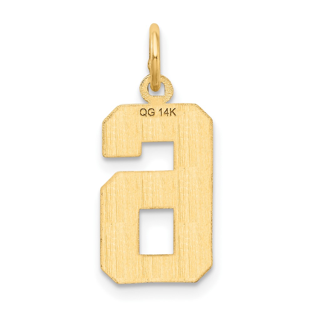 14k Medium Diamond-cut Number 6 Charm (MN06)