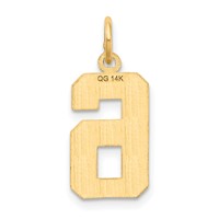 14K Yellow Gold Medium Diamond-cut Number 6 Charm view 3