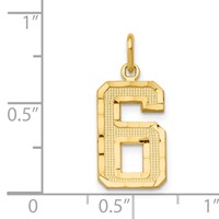 14K Yellow Gold Medium Diamond-cut Number 6 Charm view 4