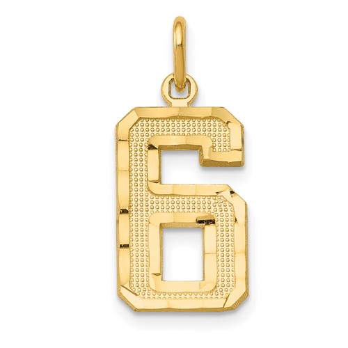 14K Yellow Gold Medium Diamond-cut Number 6 Charm