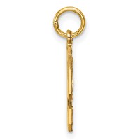 14K Yellow Gold Medium Diamond-cut Number 9 Charm view 2