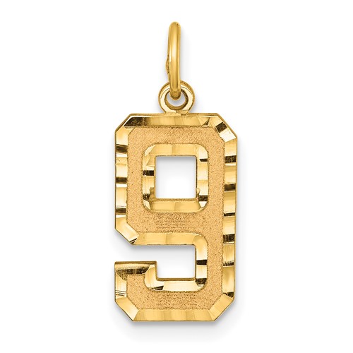 14K Yellow Gold Medium Diamond-cut Number 9 Charm
