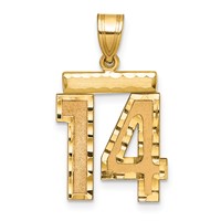 14K Yellow Gold Medium Diamond-cut Number 14 Charm view 1