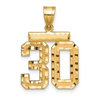 14K Medium Diamond-cut Number 30 Charm view 1