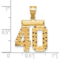 14K Yellow Gold Medium Diamond-cut Number 40 Charm view 2