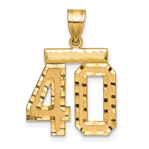 14K Yellow Gold Medium Diamond-cut Number 40 Charm