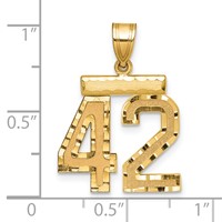 14K Yellow Gold Medium Diamond-cut Number 42 Charm view 2
