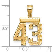 14K Yellow Gold Medium Diamond-cut Number 43 Charm view 2
