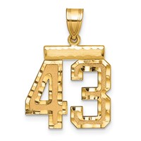 14K Yellow Gold Medium Diamond-cut Number 43 Charm view 1