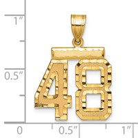 14K Yellow Gold Medium Diamond-cut Number 48 Charm view 2