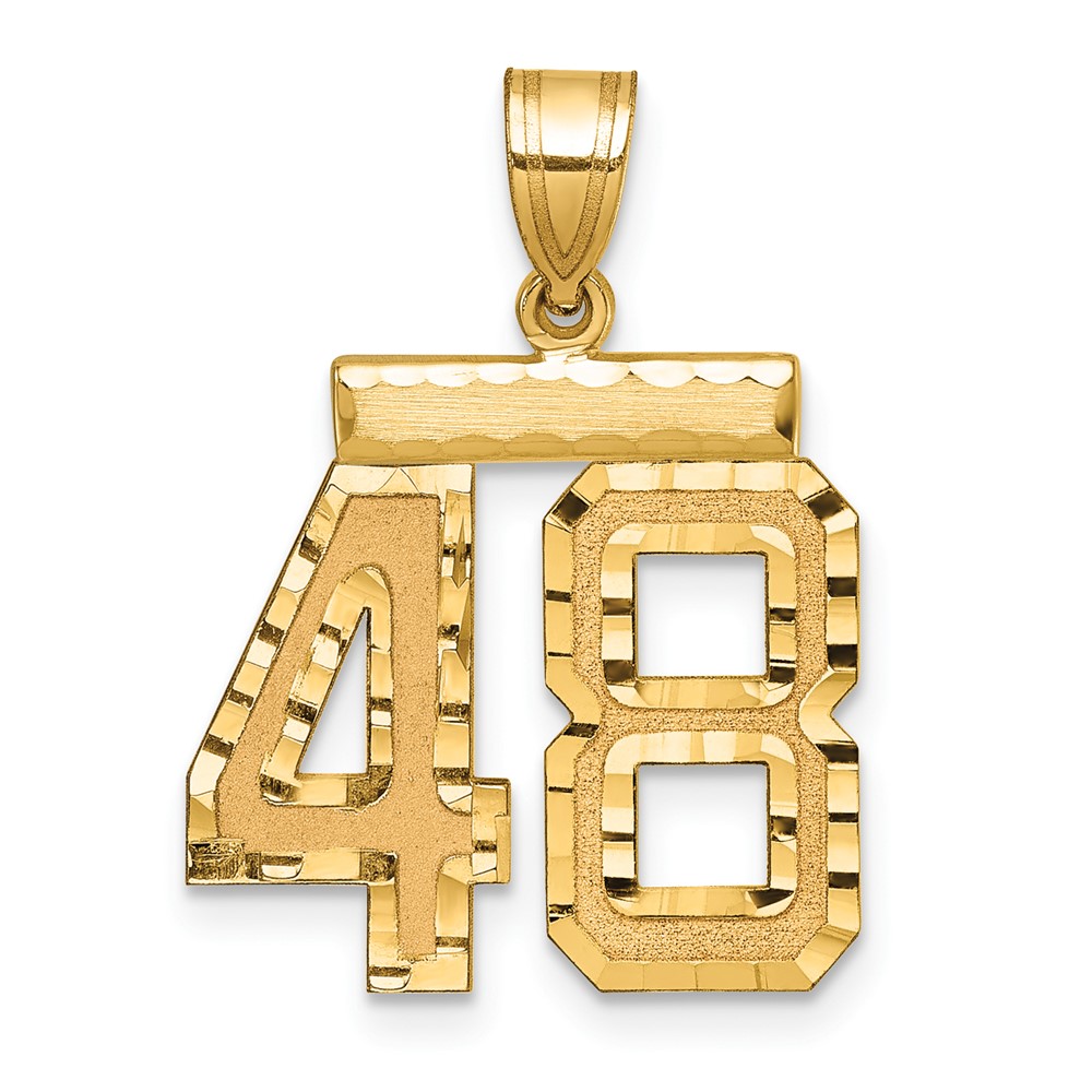 14K Yellow Gold Medium Diamond-cut Number 48 Charm