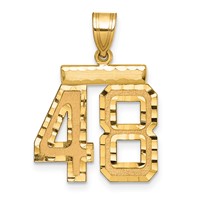 14K Yellow Gold Medium Diamond-cut Number 48 Charm view 1