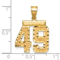 14K Medium Diamond-cut Number 49 Charm view 2