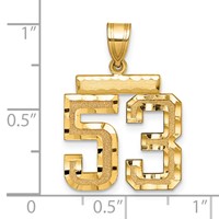 14K Yellow Gold Medium Diamond-cut Number 53 Charm view 2