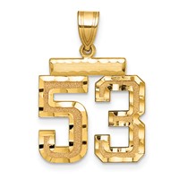 14K Yellow Gold Medium Diamond-cut Number 53 Charm view 1