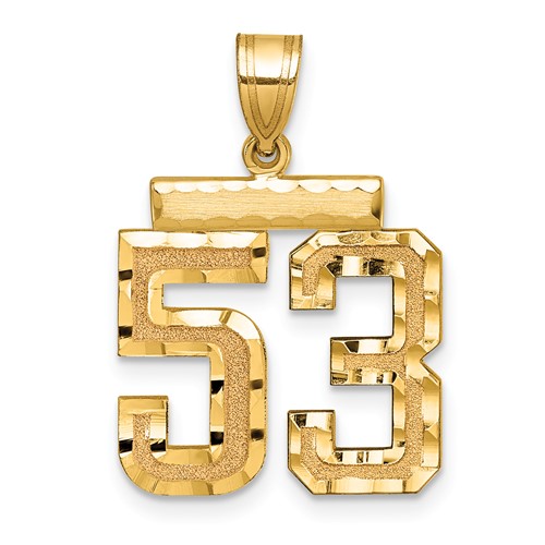 14K Yellow Gold Medium Diamond-cut Number 53 Charm