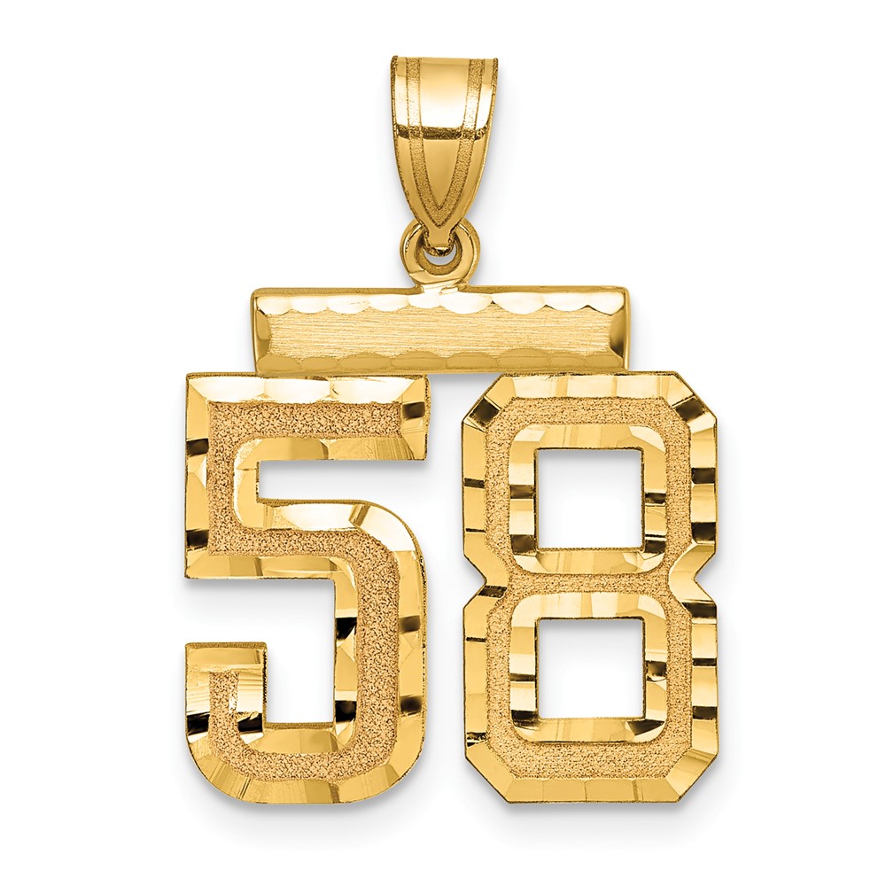 14K Yellow Gold Medium Diamond-cut Number 58 Charm