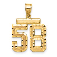 14K Yellow Gold Medium Diamond-cut Number 58 Charm view 1