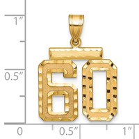 14K Yellow Gold Medium Diamond-cut Number 60 Charm view 2