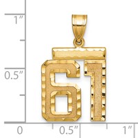 14K Yellow Gold Medium Diamond-cut Number 61 Charm view 2