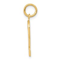 14K Yellow Gold Medium Polished Number 2 Charm view 2